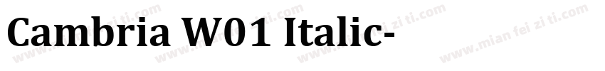 Cambria W01 Italic字体转换